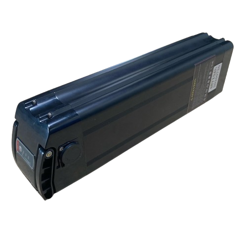 Phylion Silverfish 48V accu reviseren