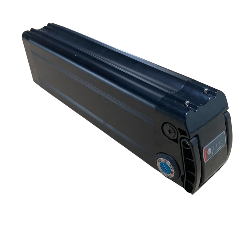 Phylion Silverfish 48V accu revisie